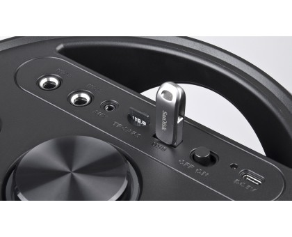 Колонка REAL-EL X-780 Black (80Вт, bluetooth, подсветка, TWS, USB, Micro SD, пульт ДУ) Колонка REAL-EL X-780 Black (80Вт, bluetooth, подсветка, TWS, USB, Micro SD, пульт ДУ)