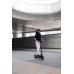 Електросамокат Segway-Ninebot E2 PRO E, чорний