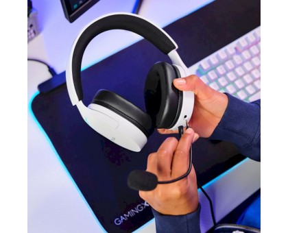 Гарнитура игровая Trust GXT 490 FAYZO, 7.1, USB-A, 2м, белый Гарнитура игровая Trust GXT 490 FAYZO, 7.1, USB-A, 2м, белый
