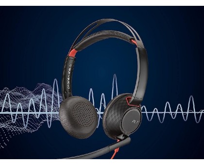 Гарнітура комп'ютерна стерео On-ear Poly Blackwire 5220, USB-A, USB-C, 3.5 мм, всеспрямований, noise canceling, чорний
