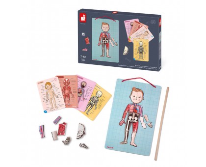 Игровой магнитный набор Janod J05491 Тело человека Игровой магнитный набор Janod J05491 Тело человека