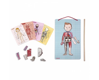 Игровой магнитный набор Janod J05491 Тело человека Игровой магнитный набор Janod J05491 Тело человека