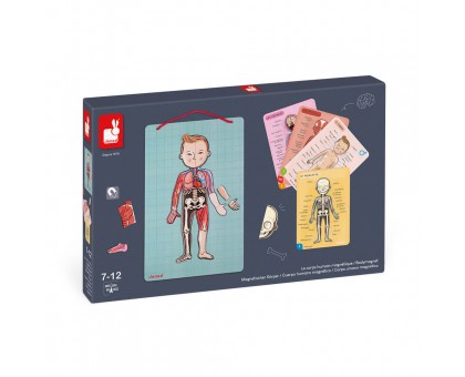 Игровой магнитный набор Janod J05491 Тело человека Игровой магнитный набор Janod J05491 Тело человека