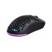 Мышь 2E GAMING HyperDrive Pro WL, RGB, USB-A/WL, чёрный