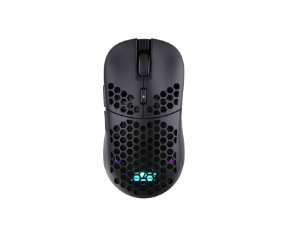 Мышь 2E GAMING HyperDrive Lite WL, RGB, USB-A/WL, чёрный