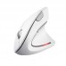 Мышь Trust 25132_TRUST Verto Ergonomic, WL, Белый