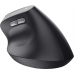Мышь Trust 25145_TRUST Bayo 2 Ergonomic, WL/USB-A, черный