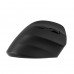 Миша 2E 2E-MF325WBK MF325 Silent, WL/BT, вертикальна, чорний