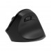 Миша 2E 2E-MF325WBK MF325 Silent, WL/BT, вертикальна, чорний