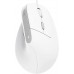 Миша Trust 25397_TRUST Bayo 2 Ergonomic, USB-A, біла