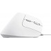 Миша Trust 25397_TRUST Bayo 2 Ergonomic, USB-A, біла
