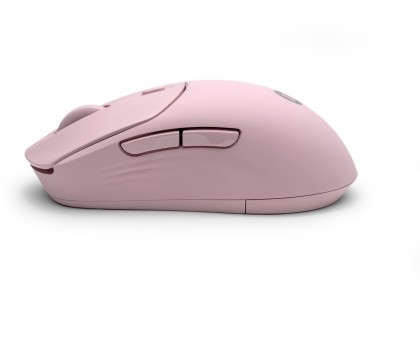 Миша HP AZ7B5AA 400 Quiet, WL/BT, рожевий