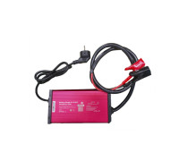 Зарядний пристрій для акумуляторів LiFePO4 24V (29.2V)-30A-876W