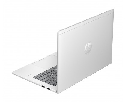 Ноутбук HP B9ZG2ET Probook 4-G1a 14" WUXGA IPS, AMD R3-210, 16GB, F512GB, UMA, Win11P, сріблястий