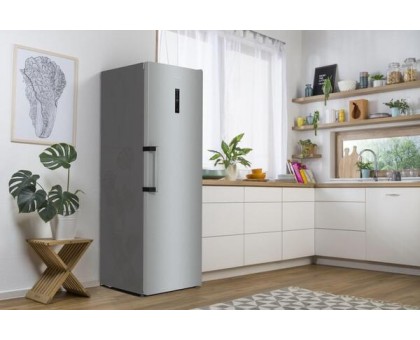 Морозильная камера Gorenje FN619EAXL6, 185.5x59.5х66.3, 280л, 1дв., A++, NF, диспл внешн., инвертор, матовый нерж Морозильная камера Gorenje FN619EAXL6, 185.5x59.5х66.3, 280л, 1дв., A++, NF, диспл внешн., инвертор, матовый нерж