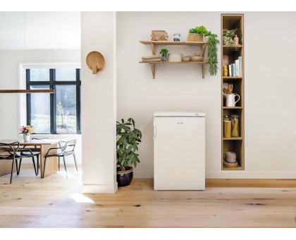 Морозильная камера Gorenje F49DPW, Высота - 84.5см, глубина- 57,5 см, 85л, А++, ST, 4 кг/ 24 часа, белый