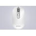 Мышь беспроводная A4Tech Fstyler FG20 (White), USB, цвет белый
