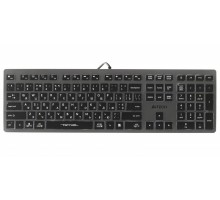 Клавіатура A4-Tech Fstyler FX60, сірий колір, USB, біле підсвічування