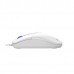Миша A4Tech N-530 (White) USB, колір білий