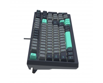 Клавіатура ігрова механічна A4Tech FS300 (Panda Rock Climbing), USB, FS Switches, сіра Клавіатура ігрова механічна A4Tech FS300 (Panda Rock Climbing), USB, FS Switches, сіра
