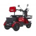 Електроскутер Maxxter ANT (Red)