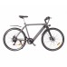 Електричний велосипед Maxxter ROAD MASTER (gray)