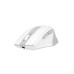 Миша бездротова A4Tech Fstyler FG35C Plus (White),  USB, колір білий+сірий