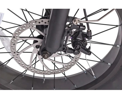 Електричний велосипед Maxxter Fox (black)